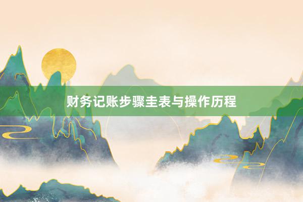 财务记账步骤圭表与操作历程